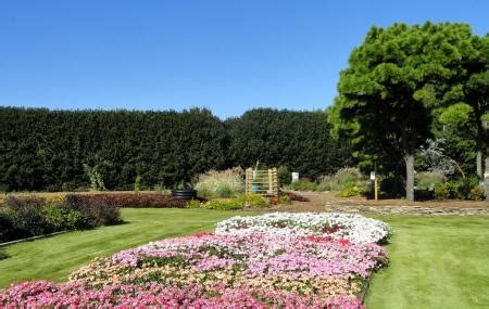 Arboretum Classes: Learn Gardening Techniques