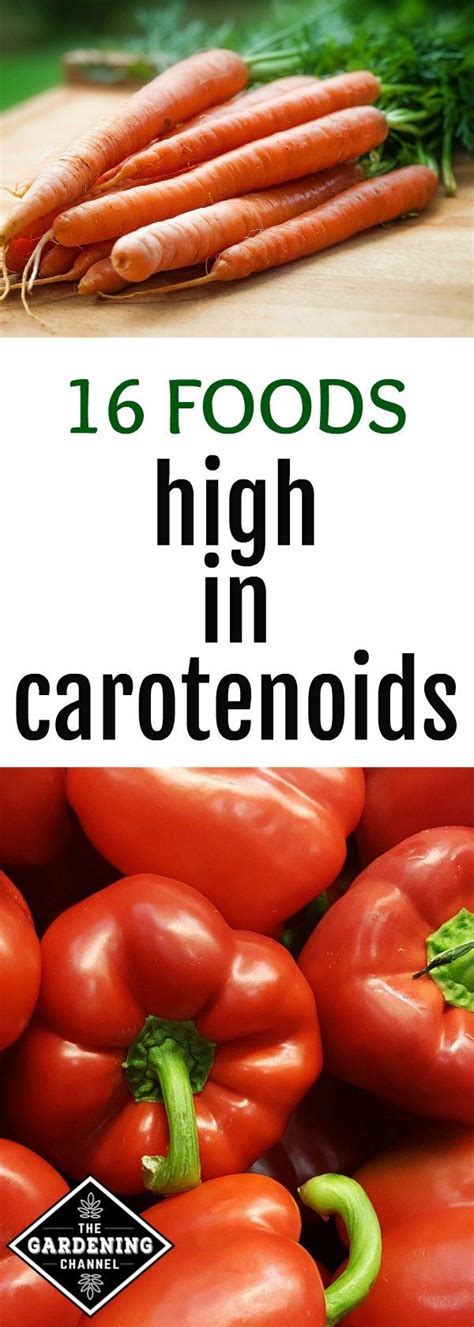 Are Black Beans High In Carotenoids