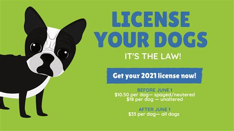 Are Dog Licenses Required