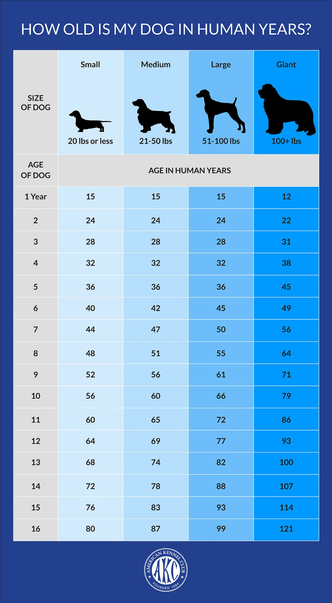 Are Dog Years Real Here S How To Calculate Your Pet S Age Dogs Experts