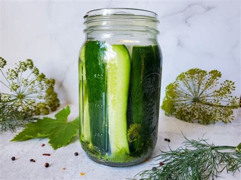 Are Pickles Fermented