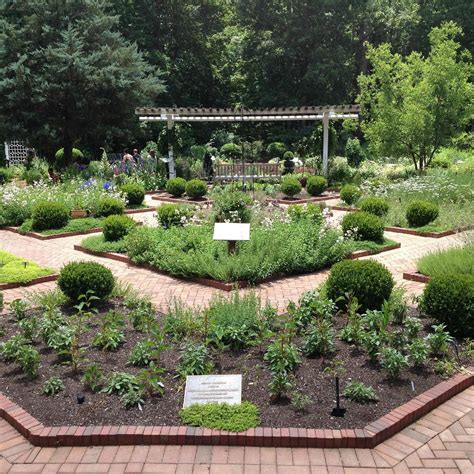 Athens Ga Botanical Gardens: Explore Nature's Beauty