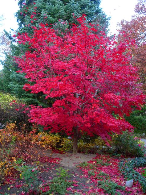 Autumn Colors James Gardens Etobicoke Ontario Canada By Flickr