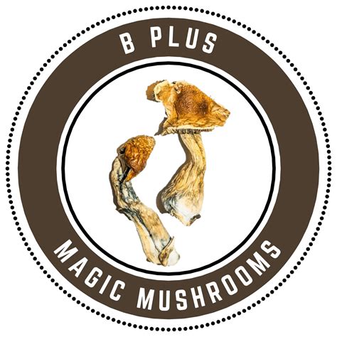 B Magic Mushrooms Trusted Mail Order Dispensary In Canada