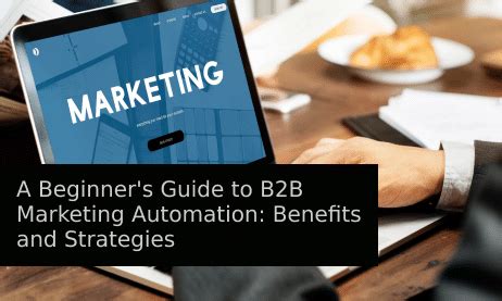 B2b Marketing The Beginner S Guide