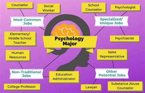 Bachelors In Psychology Jobs: Career Paths Revealed