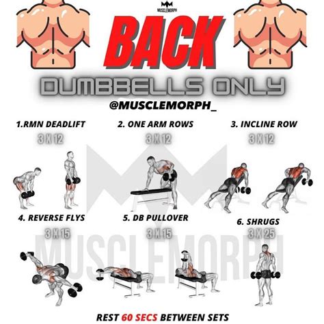 Back Workout With Dumbbells