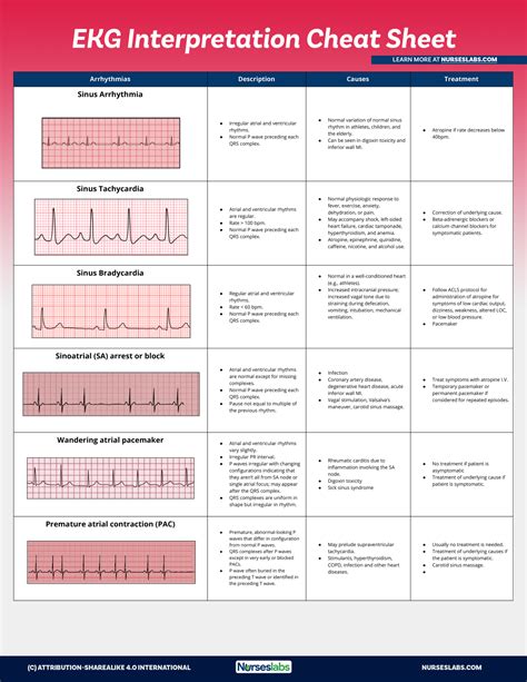 Basic Ekg Ecg Interpretation All In One Photos