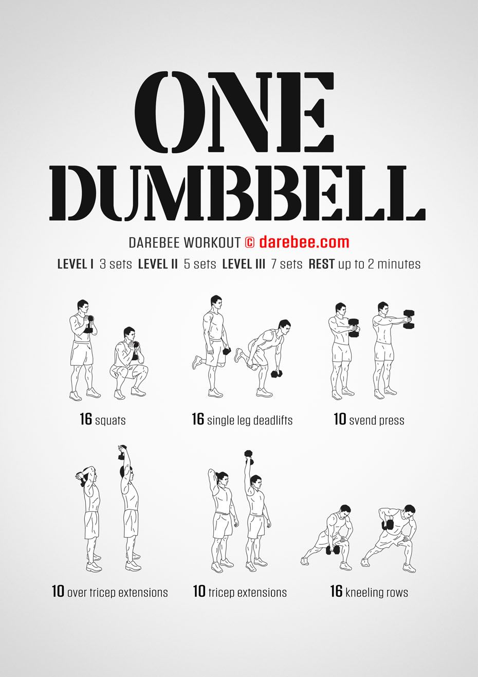 Basic Full Body Dumbbell Workout