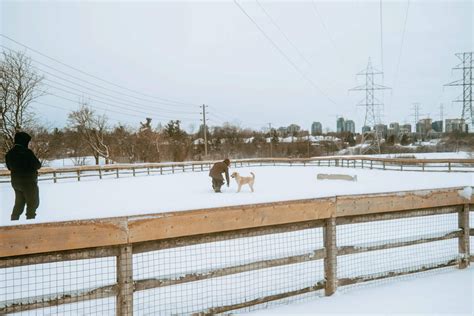 Bayview Arena Toronto