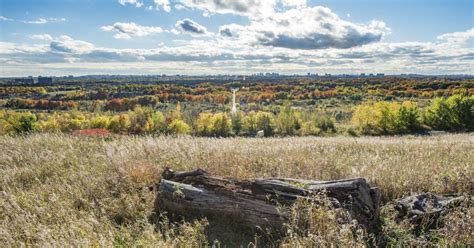 Beare Hill Park Turning A Scarborough Dump Into A Public Green Space