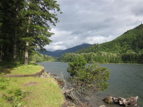 Beaver Bay Campground Yale Lake Near Cougar Washington