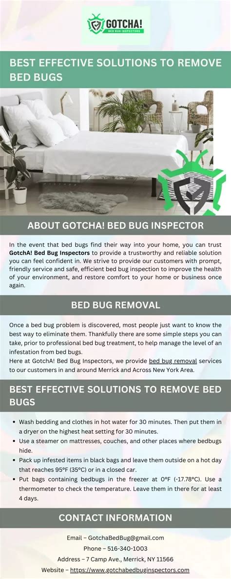 Bed Bugs Toronto: Effective Removal Solutions