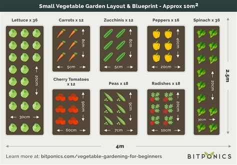 Beginner S Guide To Planting A Vegetable Garden Bitponics Com