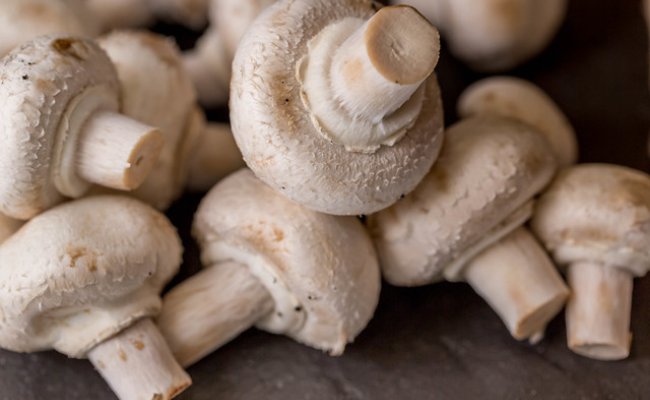 Benefits Of Eating Mushrooms Healthy Celeb