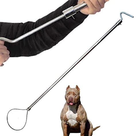 Best Catch Pole For Dogs A Roundup