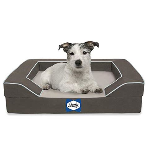 Best Dog Beds For Bulldogs Pet Dogs Life