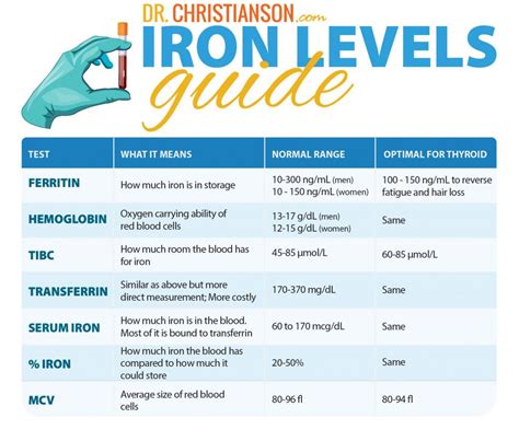 Best Iron Level