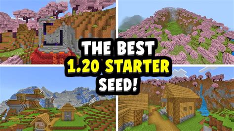 Best Minecraft Seeds To Start Survival At Robert Brenna Blog