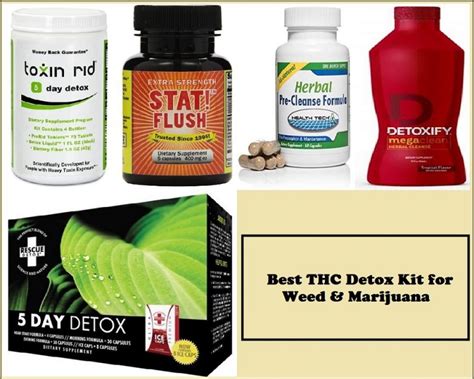 Best Thc Detox: Natural Methods For Clean Results