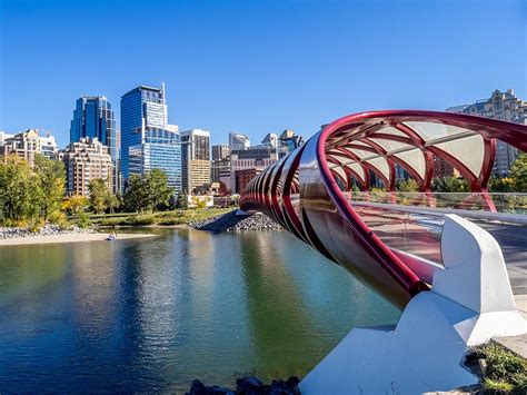 Best Things To Do In Calgary