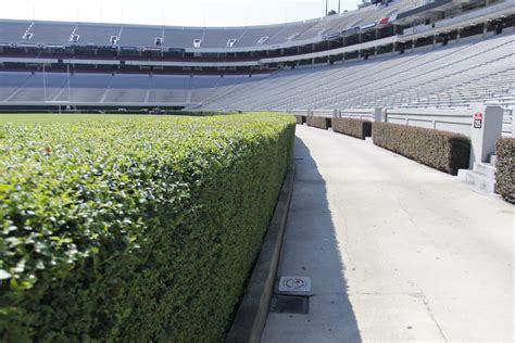 Between The Hedges