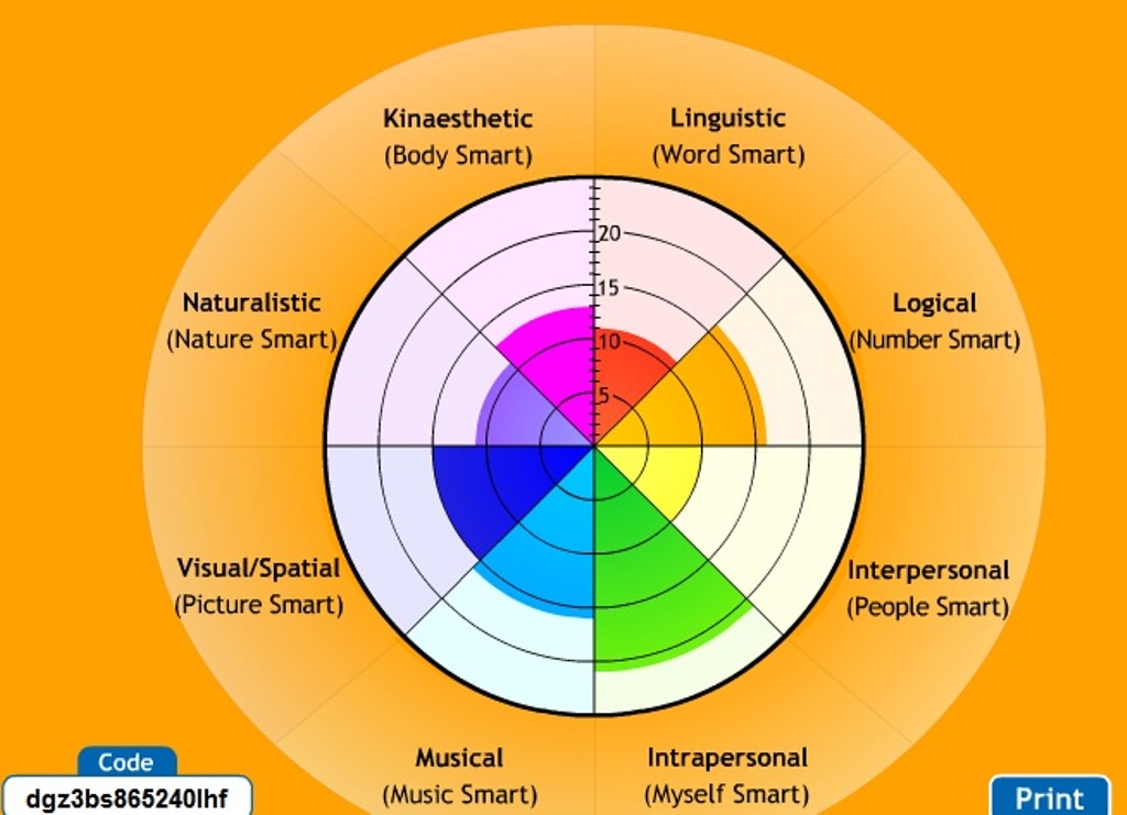 Bgfl Multiple Intelligence Test Birmingham Grid For Learning