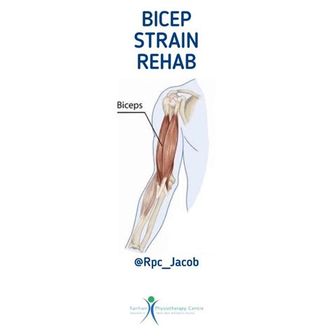 Bicep Injury Rehab: Full Strength Regained