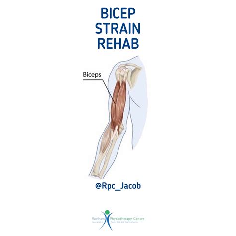 Bicep Strain Recovery: Get Back To Fitness Fast