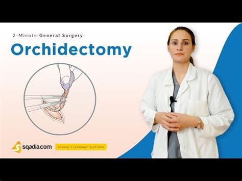 Bilateral Simple Orchiectomy Cpt Code 08 2021