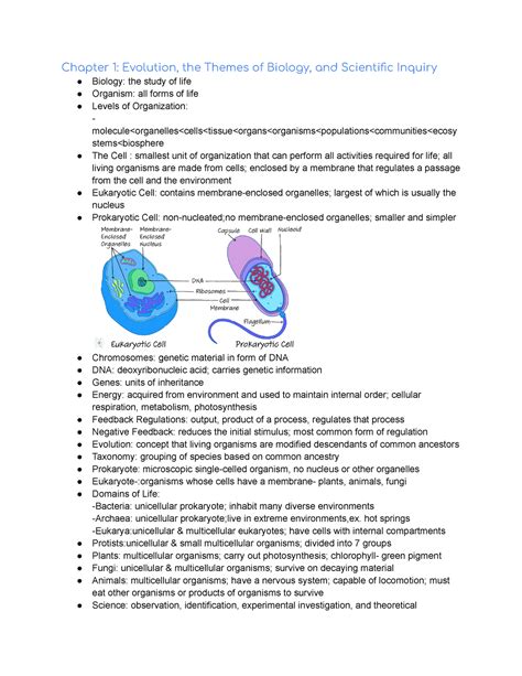 Bio 1010 Exam 1 Study Guide Chapter 1 Evolution The Themes Of