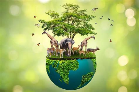 Biodiversity: Ensures Healthy Planet