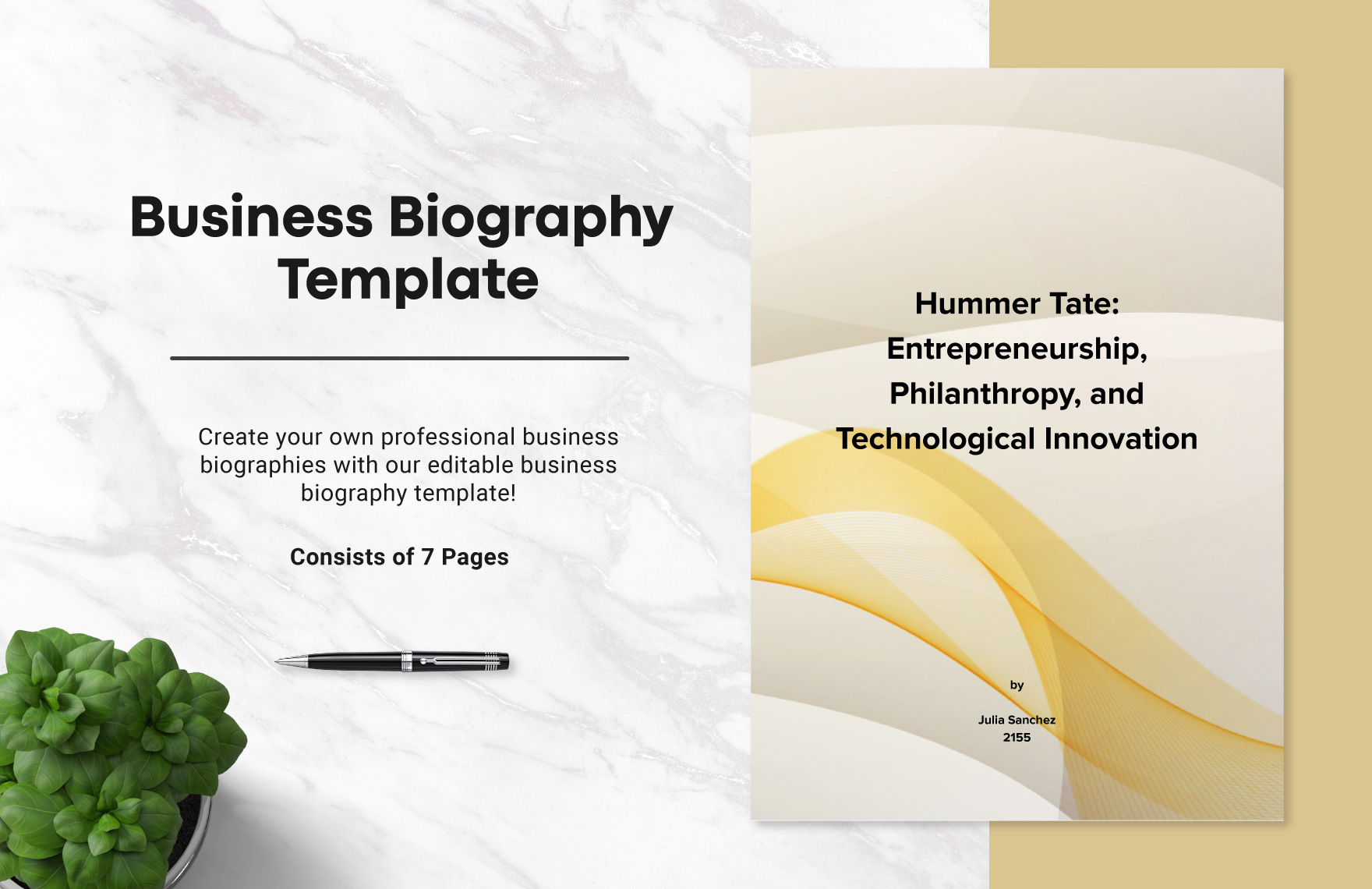 Biography Template Business Mentor