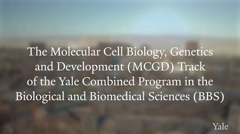 Biological And Biomedical Sciences Bbs Yale University