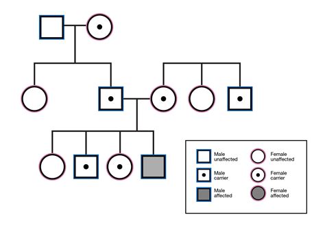 Biology Carrier Guide: Know The Facts