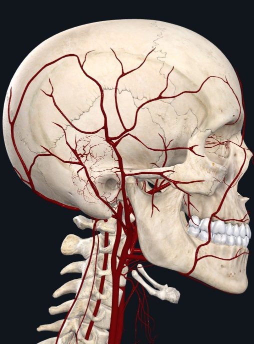 Biopsy On Temporal Artery