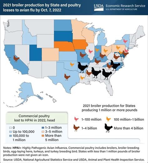 Bird Flu Colorado: Latest Updates & Protection Tips