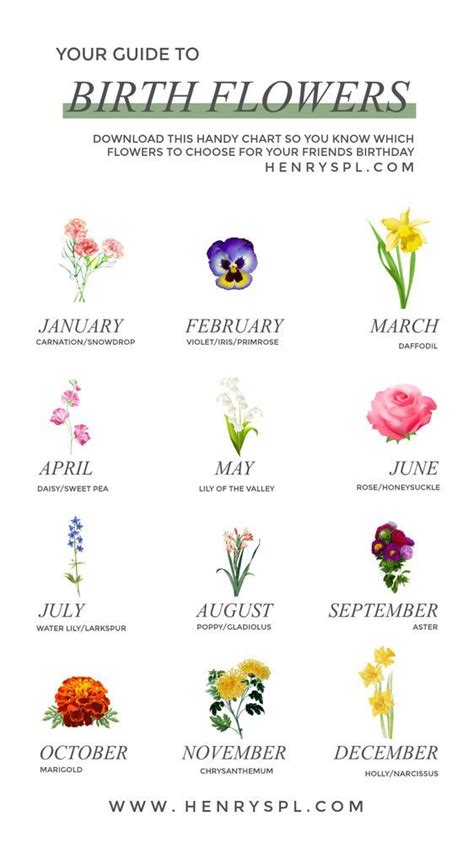 Birth Flower Tattoos Birth Flowers Flower Guide