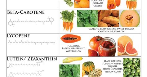 Black Beans Carotenoid Content Revealed