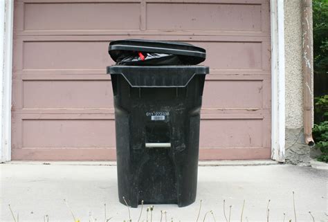 Black Bin Calgary