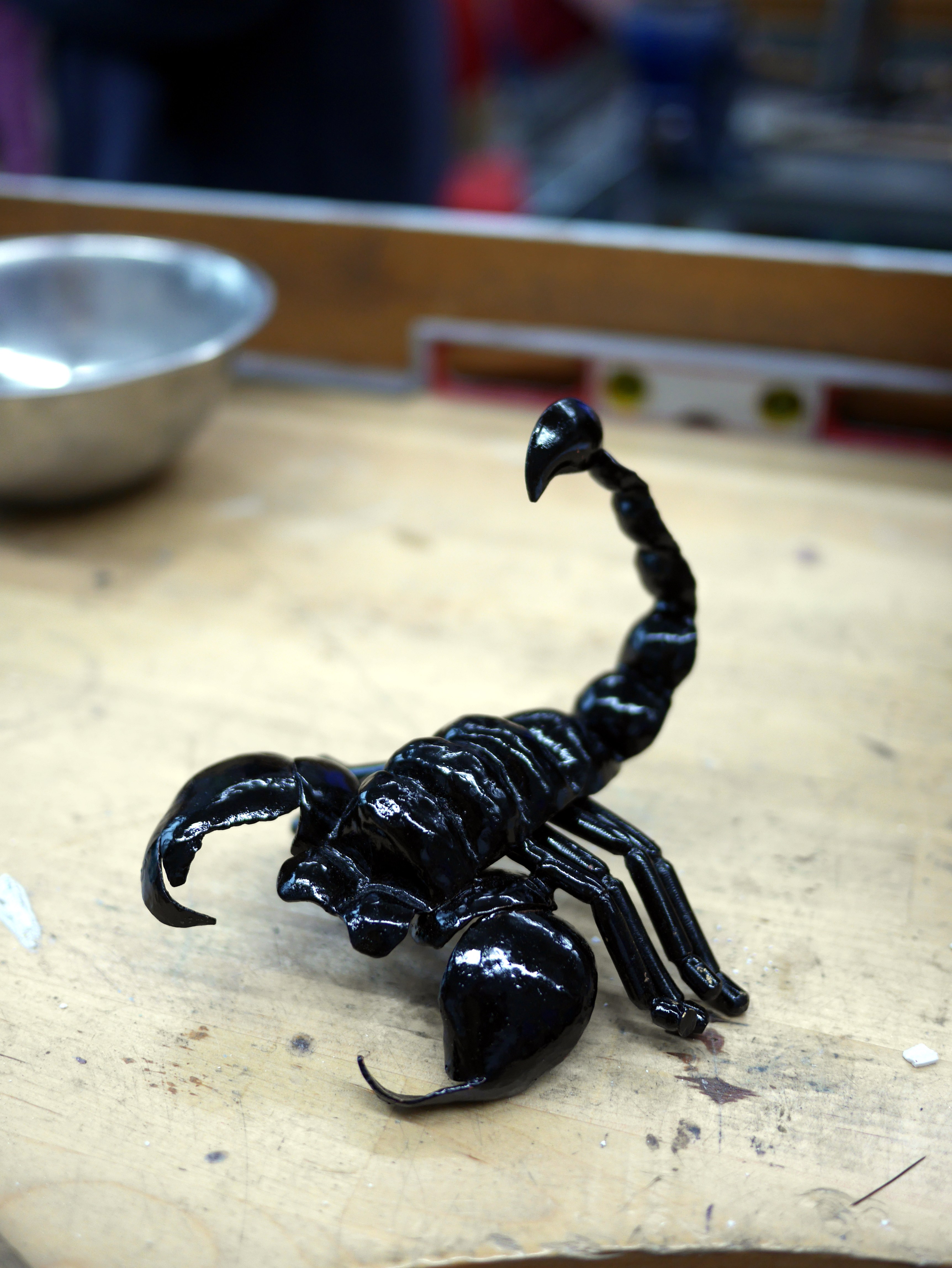 Black Desert Scorpion