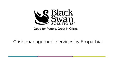 Black Swan Team: Expert Crisis Management Solutions