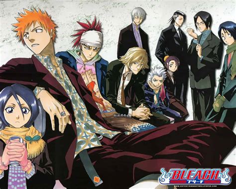 Bleach Filler Arc Episodes Watch Order Explained List