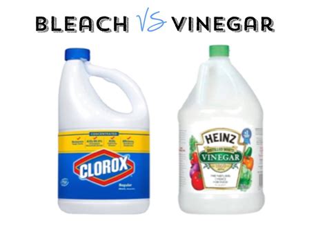 Bleach Vinegar Combo: Cleaning Secrets