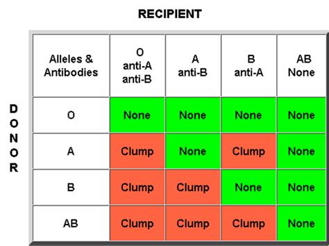 Blood Groups Howmed