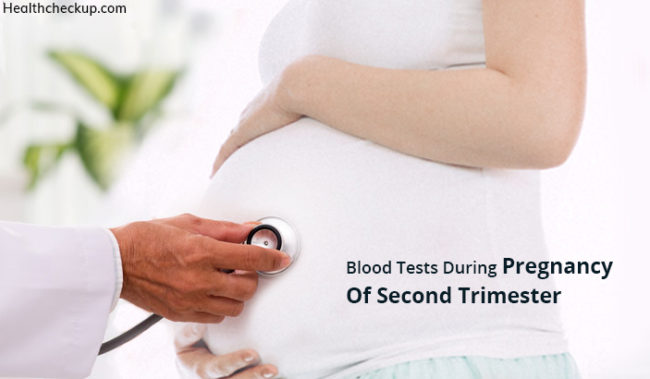 Blood Tests During Pregnancy Second Trimester With Procedure Results