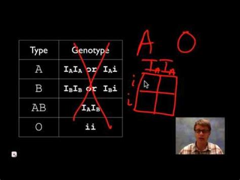 Blood Type Punnett Squares Youtube