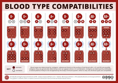 Blood Types