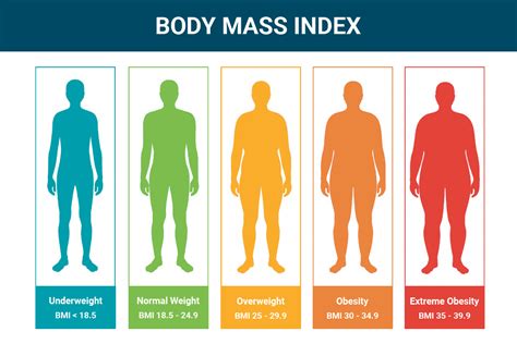 Body Fat Percentage: Calculate Your Healthy Range