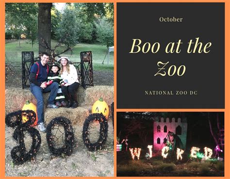 Boo At The Zoo At The National Zoo In Dc